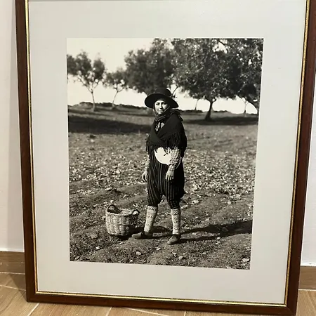 Séjour chez l'habitant Village Marques De Pombal *