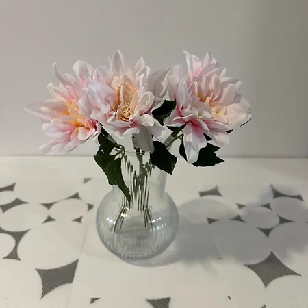 Village Marques De Pombal Homestay szállás